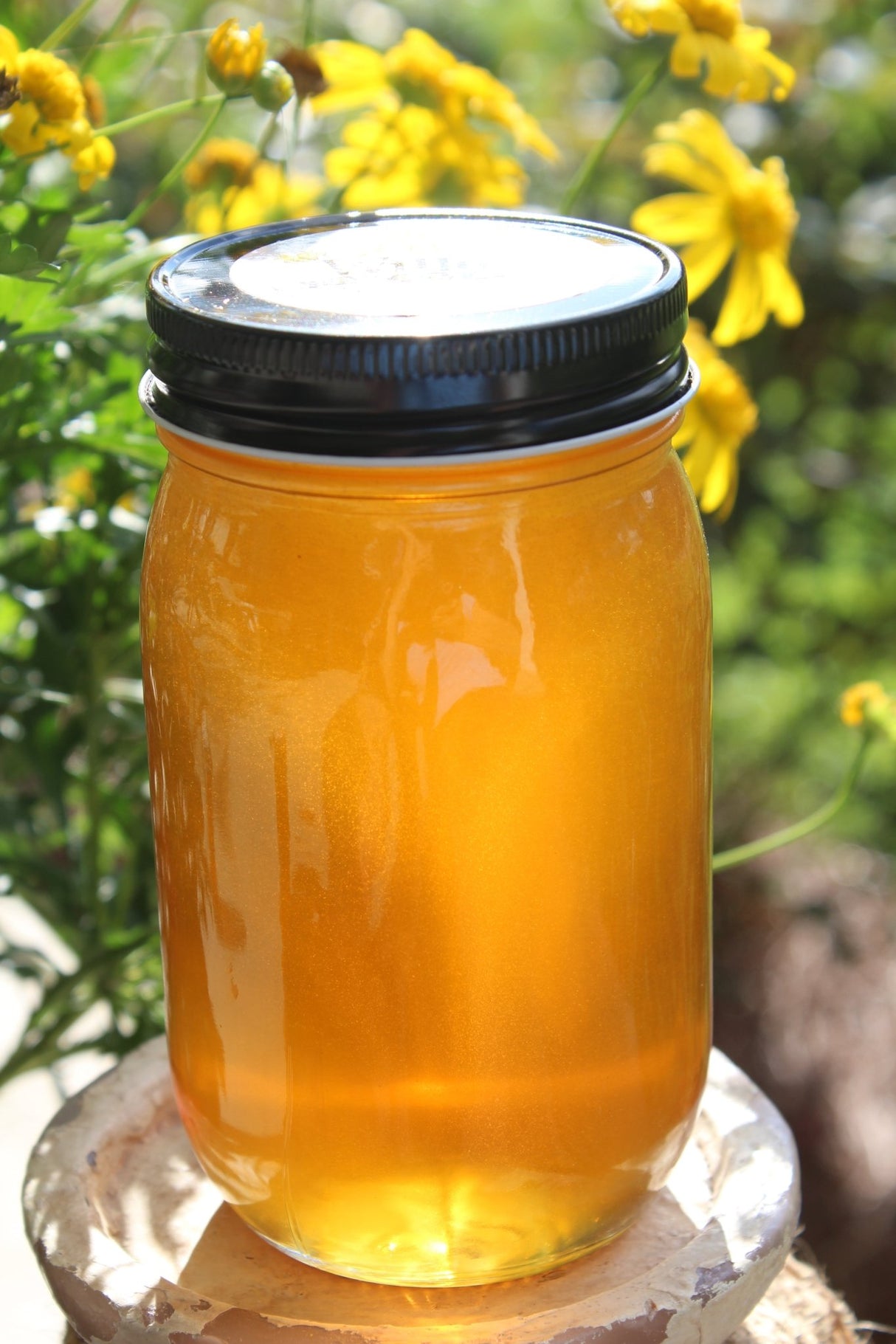 Unfiltered Honey in Pint Jar - Honey