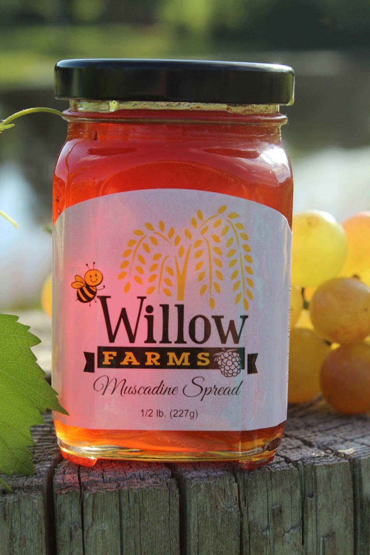 Fresh Muscadine Spread - Jelly